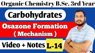 Formation of osazone mechanism Glucose Fructose osazone formation BSc 3rd year organic chemistry [upl. by Aubarta810]