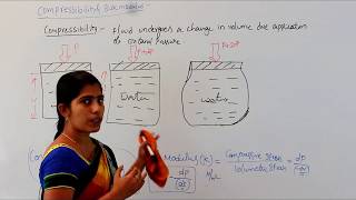 COMPRESSIBILITY amp BULK MODULUS AND ITS EXAMPLE [upl. by Rtoip656]