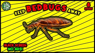 ANTI BEDBUGS REPELLENT SOUND ⛔🐞 KEEP BED BUGS AWAY  ULTRASONIC SOUND [upl. by Ohs]