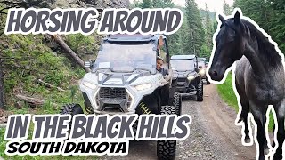 UTV THE BLACK HILLS  Polaris RZR South Dakota Meeting New Friends [upl. by Rey]