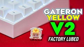 NEW Gateron Yellow GPro V2 Switches  Tofu65 [upl. by Fleta460]