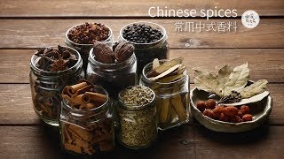 常用中式香料 Chinese spices  宵夜滷味名店 市售滷包不可或缺的基礎香料 哪裡買 多少錢 [upl. by Ysied]