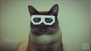 DUBSTEP HIPSTER CAT [upl. by Donoghue]