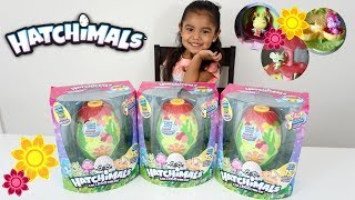 Hatchimals CollEGGtibles secret scene playset ALL 3 of them [upl. by Kyla]