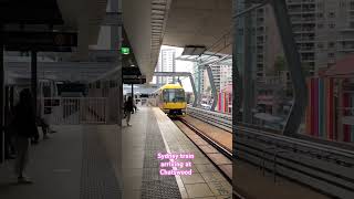 Sydney train arriving at Chatswood travelvlog train sydneytrains [upl. by Panaggio]