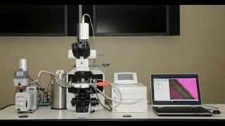 FreezeDry Microscopy  Lyophilization Cycle Development [upl. by Haeli]