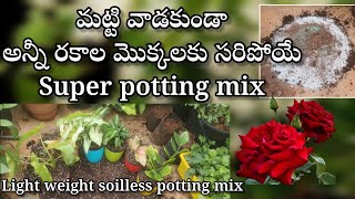 soilless potting mix for any plants  soil mix indoor plants [upl. by Amahcen]