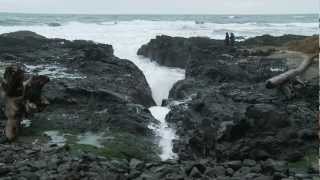 Agate Hunting on the Oregon Coast [upl. by Haliak]