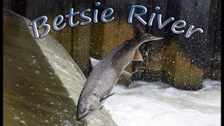 Homestead Dam  Betsie River Michigan Salmon Fishing Trip 2020 [upl. by Martinsen]