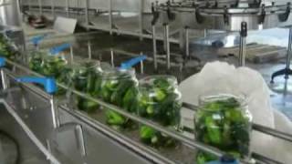 Tecnoceam Cucumber Grading Processing and Filling Line [upl. by Keener]