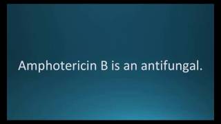 How to pronounce amphotericin B Fungizone Memorizing Pharmacology Flashcard [upl. by Anisor745]