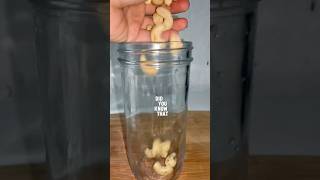 Making Cashew Milk [upl. by Ag]