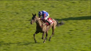 PAISLEY PARK does it again The evergreen warrior takes the 2022 Ladbrokes Long Walk Hurdle [upl. by Notsla]