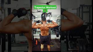 TRAPEZIUS WORKOUT 🔥🔥fitness motivation gymworkout proteintips backworkout [upl. by Yhtomiht]