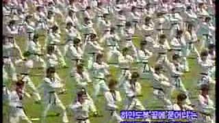 Kukkiwon Text Book 1a Intro 1995 [upl. by Hazaki]