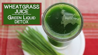 5 Important Benefits Of Wheatgrass Juice [upl. by Frymire113]