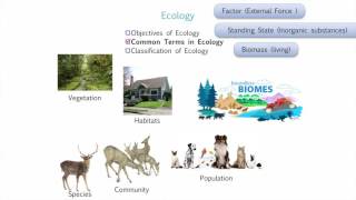 Introduction to Environmental Studies [upl. by Nosduj]