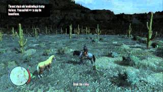 Where to Lasso a Kentucky Saddler in quotRed Dead Redemptionquot  quotRed Dead Redemptionquot [upl. by Osy]