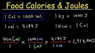 Joules Food Calories amp Kilojoules  Unit Conversion With Heat Energy  Physics Problems [upl. by Calle769]