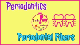 PERIODONTAL FIBERS  PRINCIPAL FIBERS  PERIODONTICS  EASY DENTAL LECTURE  5 min DENTISTRY [upl. by Regnig398]