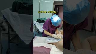 How to catheterize women shorts baby shortvideo nursing nursingstudent [upl. by Kinghorn542]