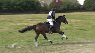 Rachel Higgins amp Kronos Waredaca 3Day Cassic amp Horse Trials 2024 [upl. by Burrows]