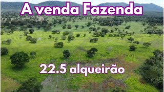 A venda Fazenda de 225 alqueirão NÚMERO NOVO 61 99056041 [upl. by Gavrielle]