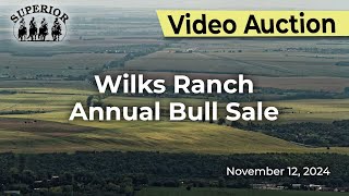 Wilks Ranch Annual Bull Sale [upl. by Arriec]