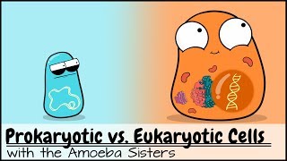 Prokaryotic vs Eukaryotic Cells Updated [upl. by Leonore]