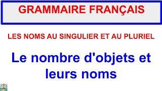 GRAMMAIRE  Les noms au singulier et au pluriel  Le nombre et leurs noms  Activité 3  Partie 3 [upl. by Lundell]