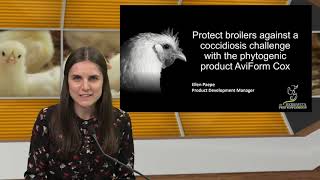 Webinar Poultry World Protect broilers against a coccidiosis challenge with AviForm Cox [upl. by Nikolos207]