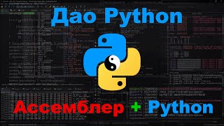 Ассемблер и Python  Дао общих интересов [upl. by Acirretahs]