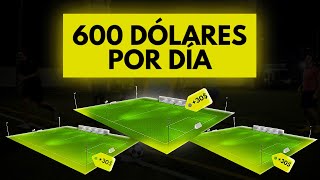 NEGOCIO Cancha Sintetica 💰 Cuánto Cuesta Cuánto Se Gana y Cómo Invertir en Canchas FUTBOL [upl. by Marks]