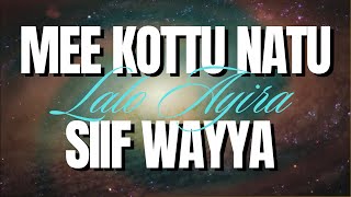 Mee Kottu Natu Siif Wayya [upl. by Placidia]