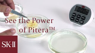 SKII See the Power of Pitera™ before your eyes [upl. by Smart]