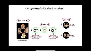 Kmeans clustering algorithm with python implementation [upl. by Assillem874]