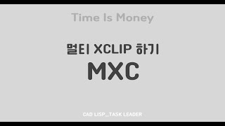 오토캐드 리습멀티 XCLIP [upl. by Haelak]