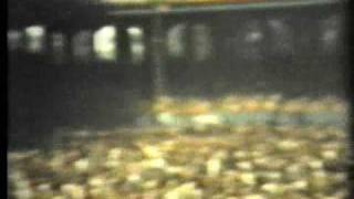 FIRE IN THE STANDS  COMISKEY PARK WJEFF BECK 1976 CHICAGO [upl. by Salangi37]