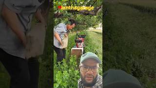 Rotavator is powerful small and also very powerful janthagarage agriculture vijayanagar [upl. by Ermine95]