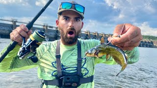 EVERYTHING We Tossed In The Spillway Got DESTROYED  Using Catfish For BAIT Nonstop Action [upl. by Ruenhs352]