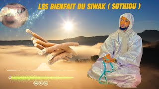 Les bienfait du siwak  sothiou [upl. by Saidee269]