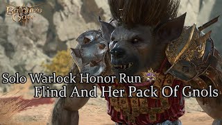 Solo Wyll The Warlock Flind And Her Pack Honor Run [upl. by Retsehc720]