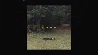 ✦ free joji  corbin type beat quottornquot [upl. by Sileas775]