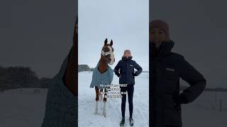 Bestfriend 🥰 equestrian horse horses pony pferde cheval hest trending funny [upl. by Cynthla]