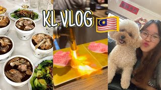 KL Vlog 2024 🇲🇾✨ 一起去 KL dimsum luge park cafe [upl. by Aitnahc]