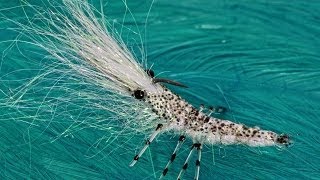 Hedron Flytying Wing n flash shrimp [upl. by Eniamaj]