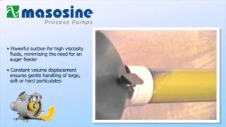 MasoSine Process Pumps [upl. by Solracsiul]