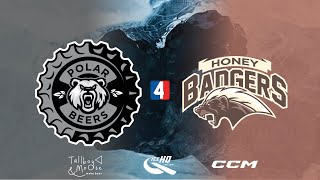 Polar Beers v Honey Badgers  Div 4  25th June  IceHQ Beer League ice hockey [upl. by Gadmann]