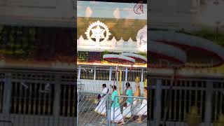 Suprabhata Seva in Tirumala 🙏 shreetripuradevotional tirumala dharshan shortvideo suprabhatam [upl. by Adnoraj]