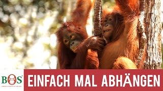 Einfach mal Abhängen [upl. by Iormina]